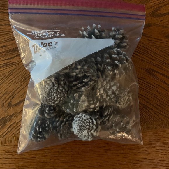 18 Small pinecones - Picture 2 of 3